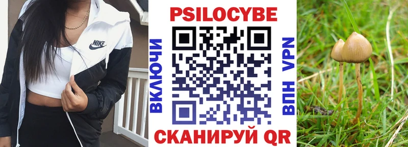 Купить где  Очёр  Псилоцибиновые грибы Magic Shrooms 